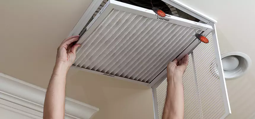 Our Insect Removal from Air Ducts Services in Bay City, TX