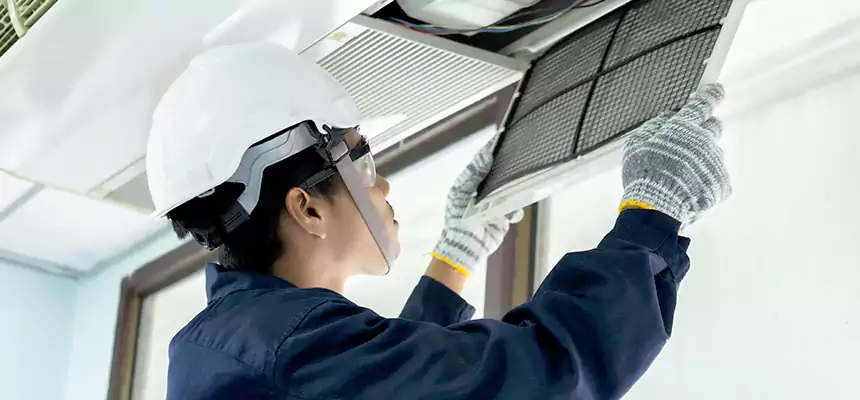 Our Mold & Mildew Removal from Air Ducts Services in Bay City, TX