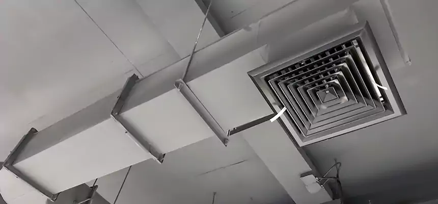 Our Pest Removal From Ducts Services in Bay City, TX