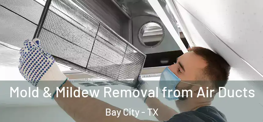  Mold & Mildew Removal from Air Ducts Bay City - TX