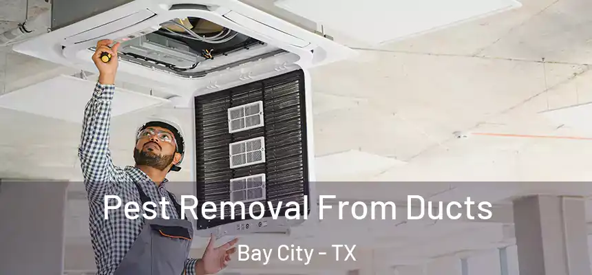  Pest Removal From Ducts Bay City - TX