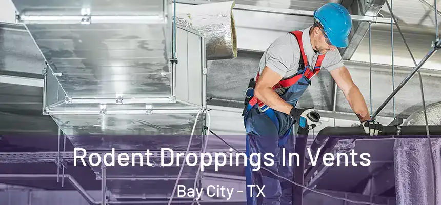  Rodent Droppings In Vents Bay City - TX