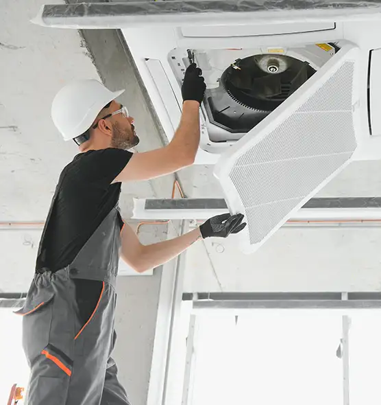 About Air Duct Rodent Removal in Bay City, TX