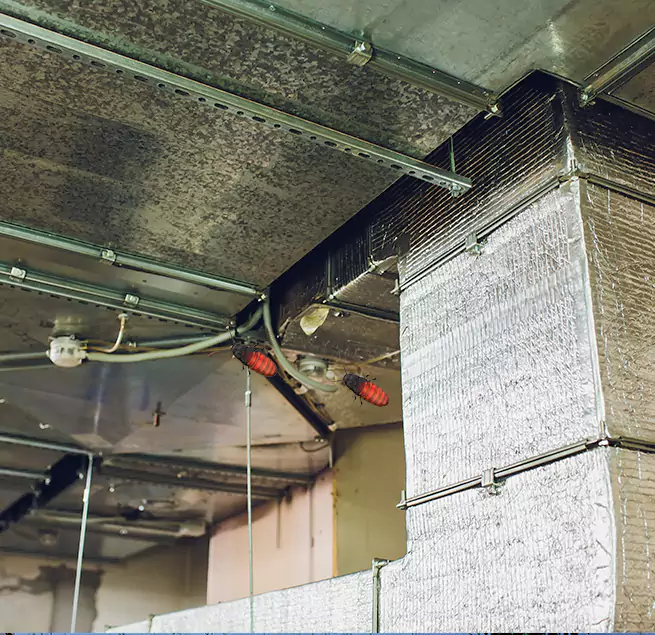 Why Homeowners & Businesses Trust Us in Bay City, TX?