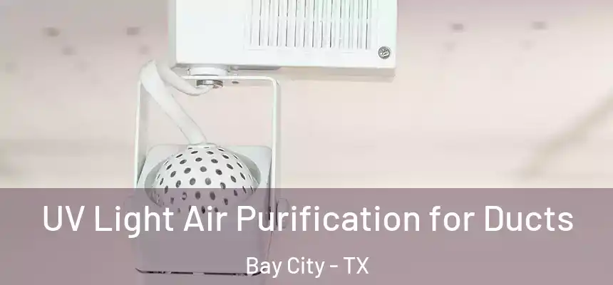  UV Light Air Purification for Ducts Bay City - TX